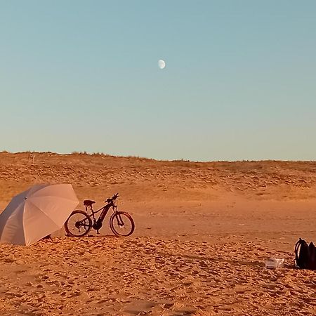 Le Spot Studio'Hotel "Les Pieds Dans Le Sable " Seignosse Ngoại thất bức ảnh