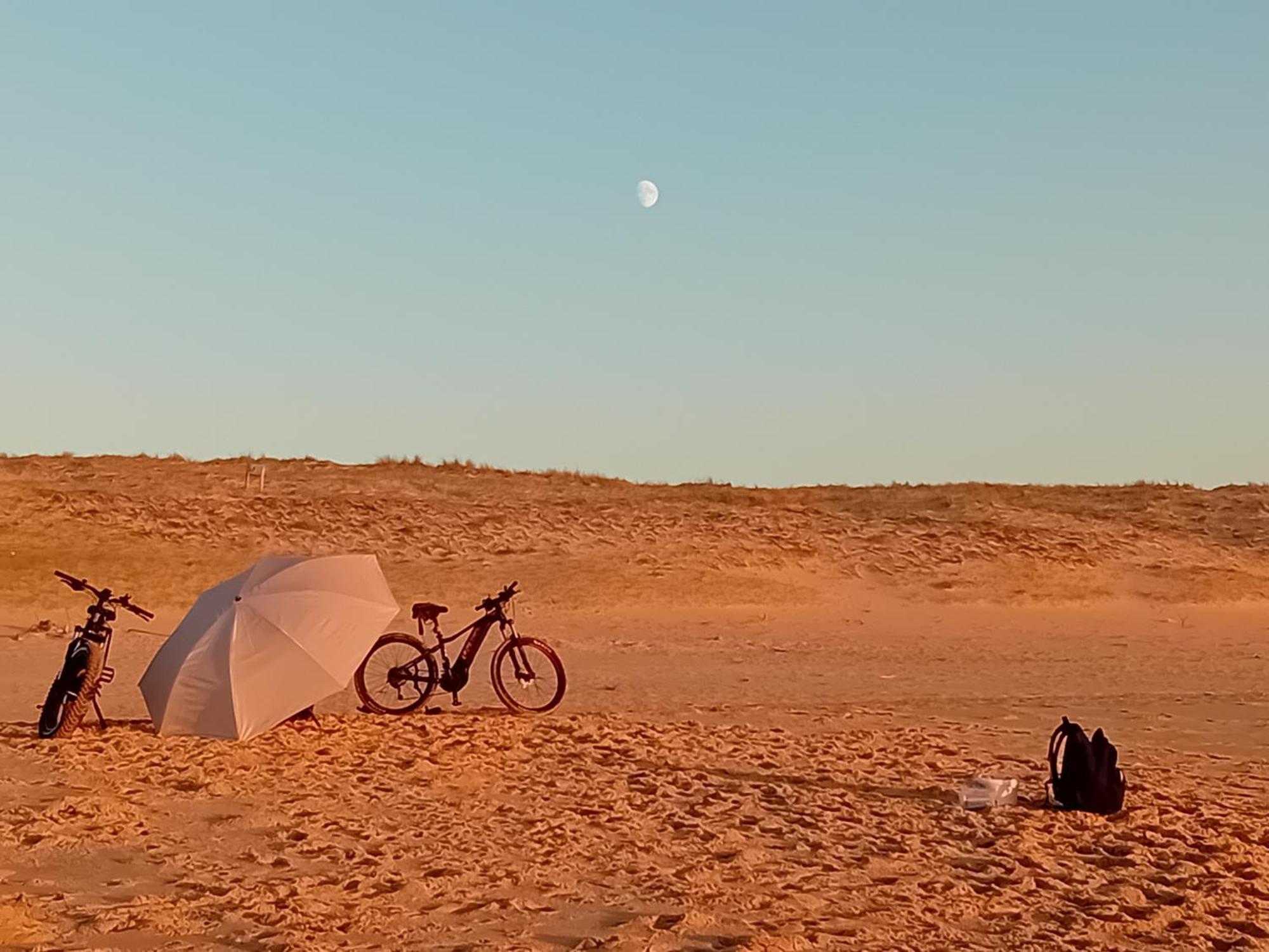 Le Spot Studio'Hotel "Les Pieds Dans Le Sable " Seignosse Ngoại thất bức ảnh